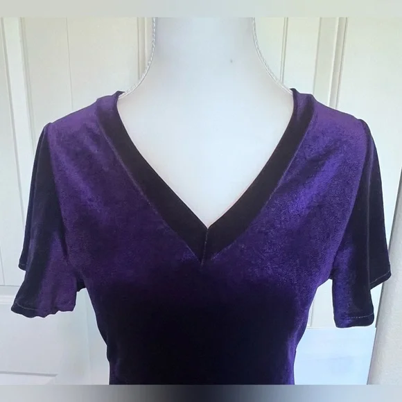 Purple Velvet Velour feel V neck Ruffle Sz Small Whimsigoth Renaissance Flirty - Picture 6 of 13